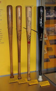 Why Should You Use Fungo Bats?